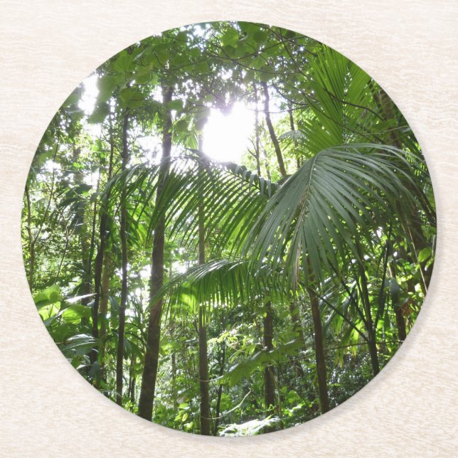 Sunlight Through Rainforest Canopy Tropical Green Round Paper Coaster (Front)
