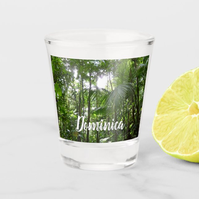 Sunlight Through Rainforest Canopy Tropical Green Shot Glass (Front)