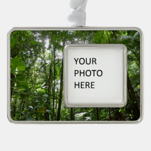 Sunlight Through Rainforest Canopy Tropical Green Silver Plated Framed Ornament