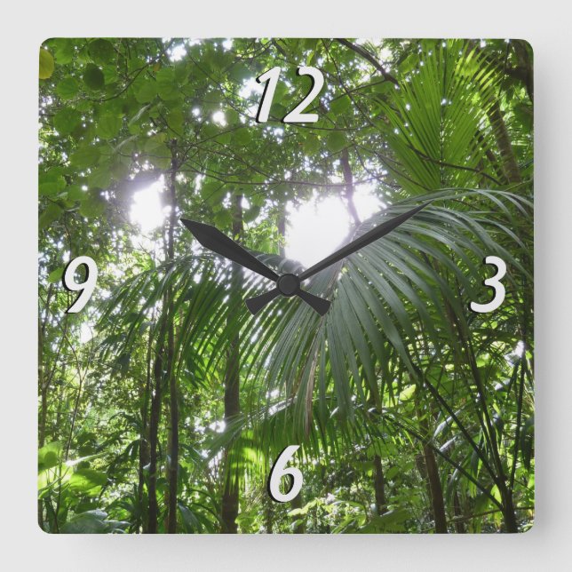Sunlight Through Rainforest Canopy Tropical Green Square Wall Clock (Front)