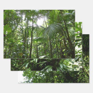 Sunlight Through Rainforest Canopy Tropical Green Wrapping Paper Sheet