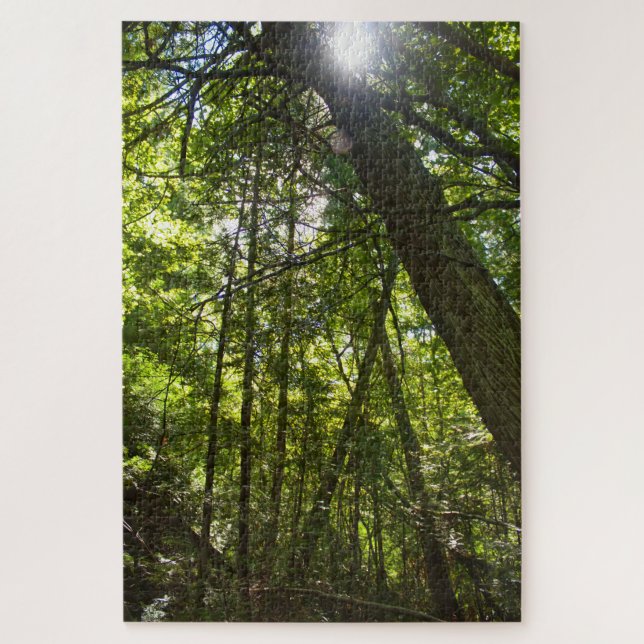 Sunlight Through the Forest Canopy Jigsaw Puzzle (Vertical)