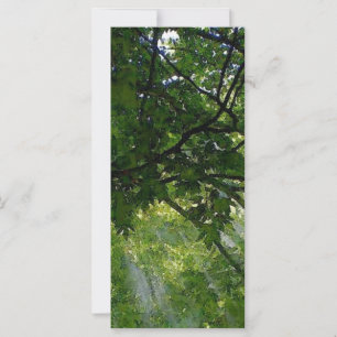 Sunlight Through Trees