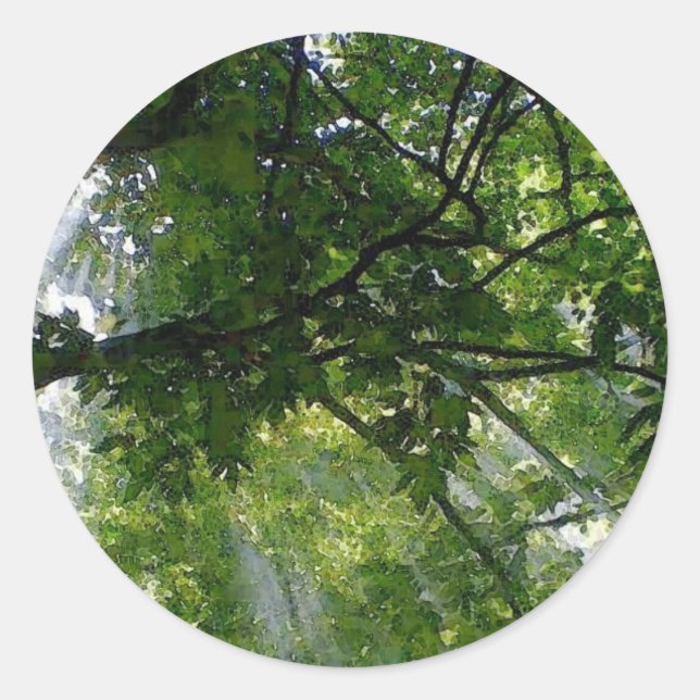 Sunlight Through Trees Classic Round Sticker (Front)