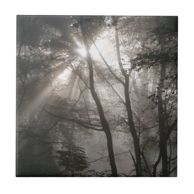 Sunlight Through Trees Dark Woodland Ceramic Tile (Front)
