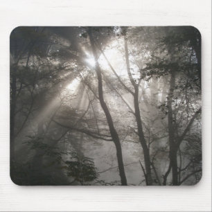 Sunlight Through Trees Dark Woodland Mouse Pad