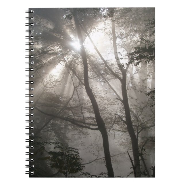 Sunlight Through Trees Dark Woodland Notebook (Front)