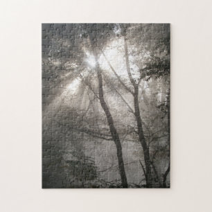 Sunlight Through Trees Jigsaw Puzzle