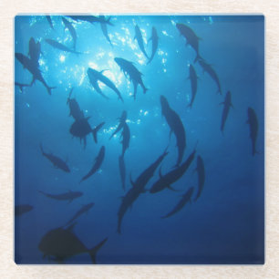 Sunlight Under the Sea Glass Coaster