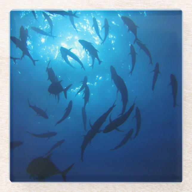 Sunlight Under the Sea Glass Coaster (Front)