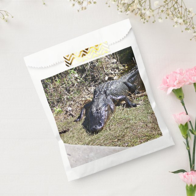 Sunlit Alligator on Everglades Grass Favour Bag (Sealed)