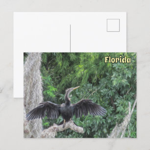 Sunlit Anhinga on a Mossy Branch – Oil‑Painting St Postcard