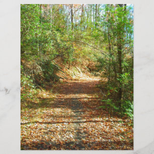 Sunlit Autumn Forest Trail