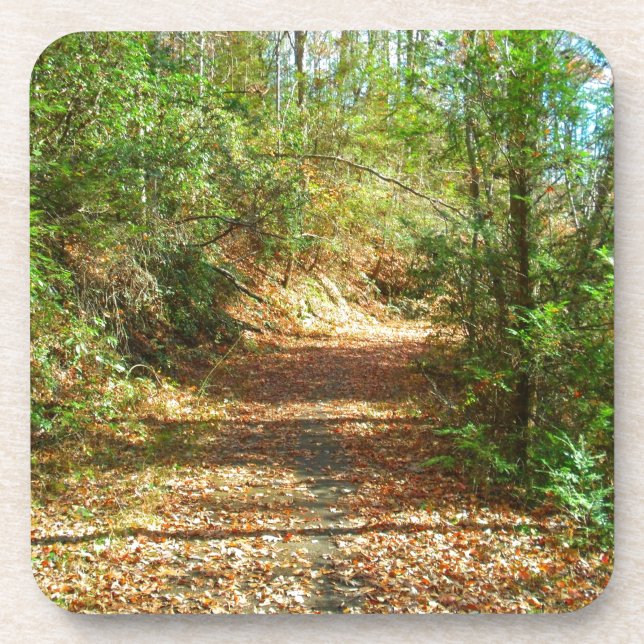 Sunlit Autumn Forest Trail Coaster (Front)