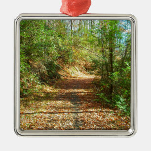 Sunlit Autumn Forest Trail Metal Tree Decoration