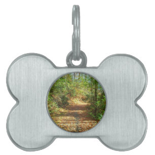 Sunlit Autumn Forest Trail Pet ID Tag
