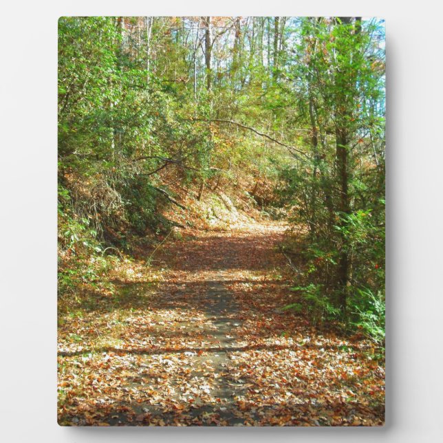 Sunlit Autumn Forest Trail Plaque (Front)