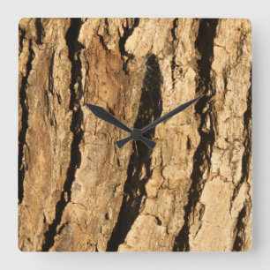 Sunlit Bark Square Wall Clock