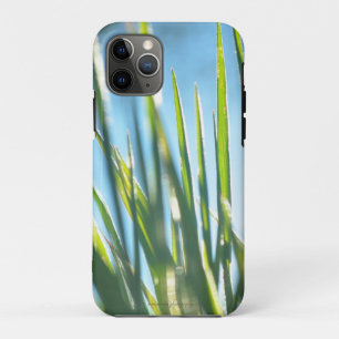 Sunlit Blades iPhone 11 Pro Case