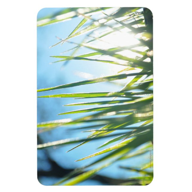 Sunlit Blades Magnet (Vertical)