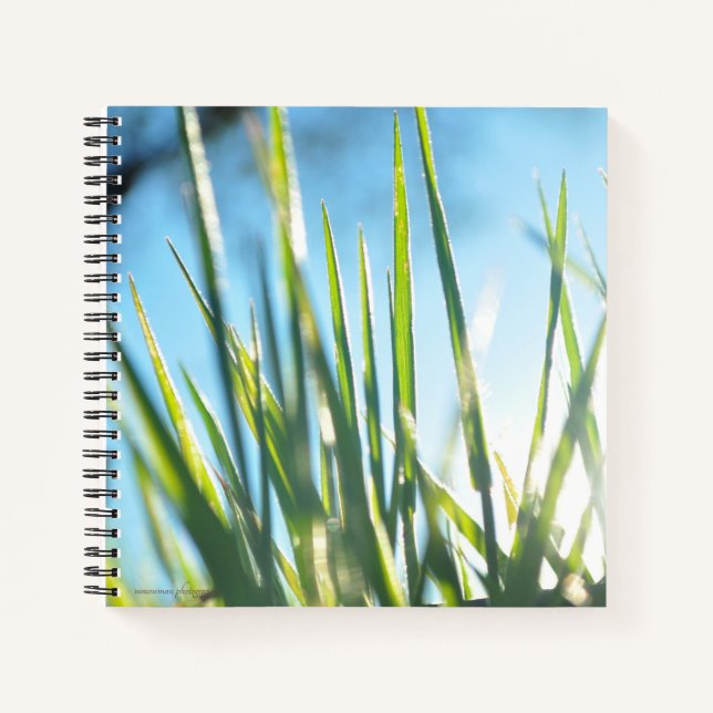 Sunlit Blades Notebook (Front)