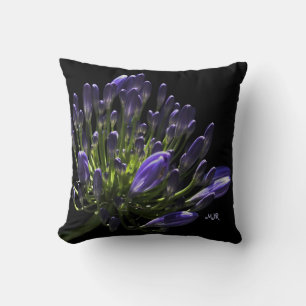 Sunlit Blooming Purple Agapanthus, African Lily Cushion