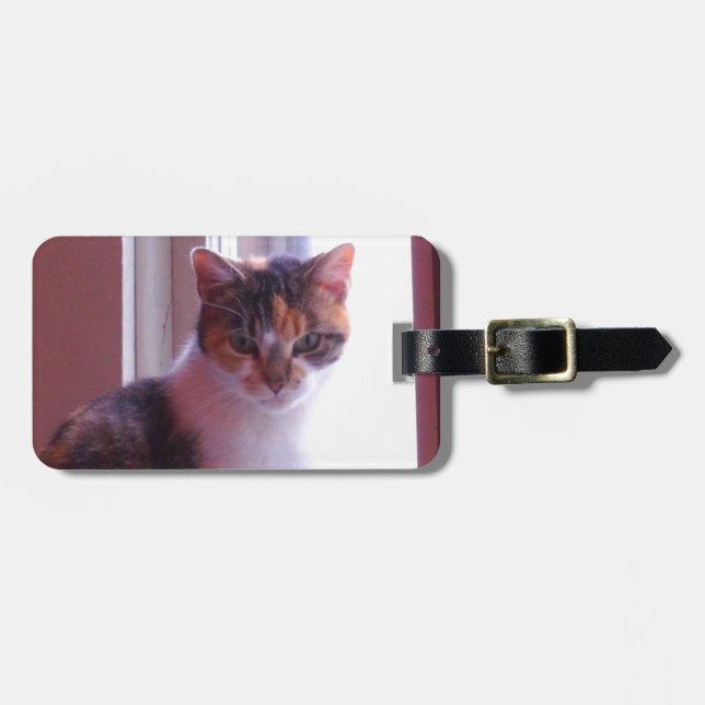 Sunlit Calico Luggage Tag (Front Horizontal)