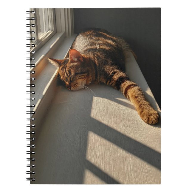 Sunlit Cat Nap Notebook (Front)