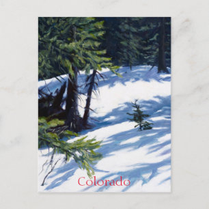 Sunlit Colorado Mountain Snow Scene Holiday Postcard