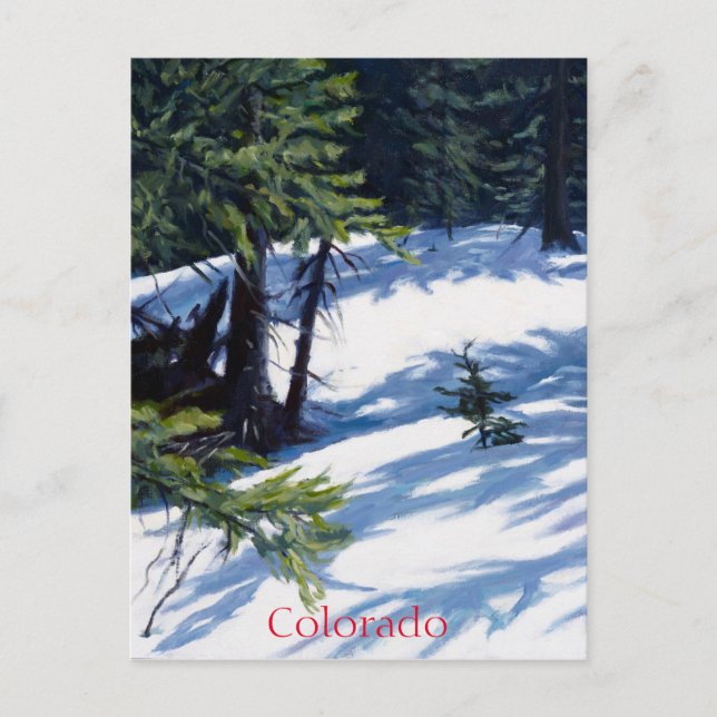 Sunlit Colorado Mountain Snow Scene Holiday Postcard (Front)