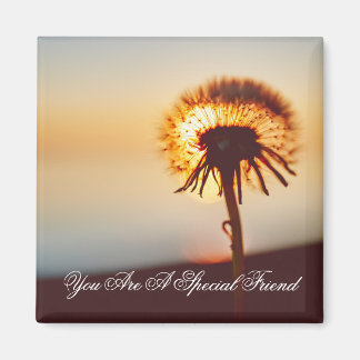 Sunlit Dandelion Friendship Quote Magnet
