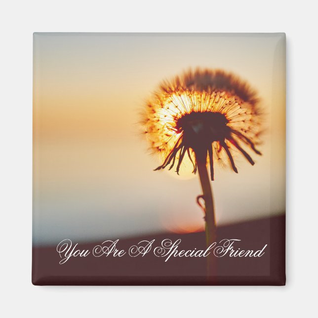 Sunlit Dandelion Friendship Quote Magnet (Front)