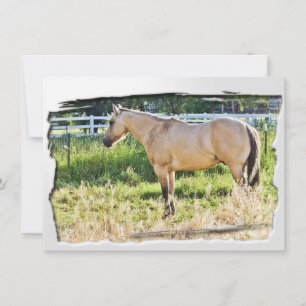 Sunlit Dappled Morning w/ White Frame