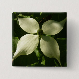 Sunlit Dogwood Blossom Spring Floral 15 Cm Square Badge