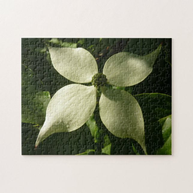 Sunlit Dogwood Blossom Spring Floral Jigsaw Puzzle (Horizontal)