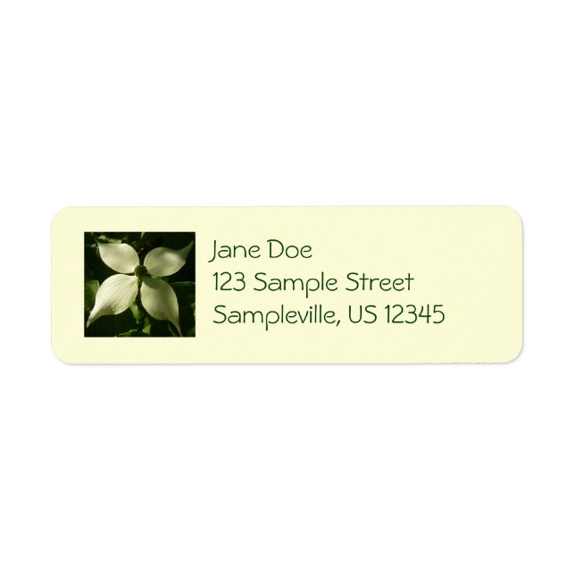 Sunlit Dogwood Blossom Spring Floral Return Address Label (Front)