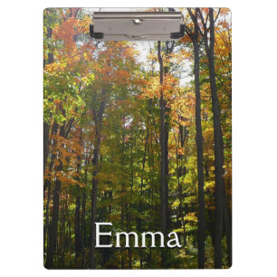 Sunlit Fall Forest Autumn Landscape Clipboard