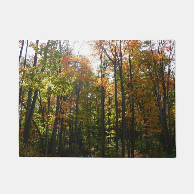Sunlit Fall Forest Autumn Landscape Doormat (Front)