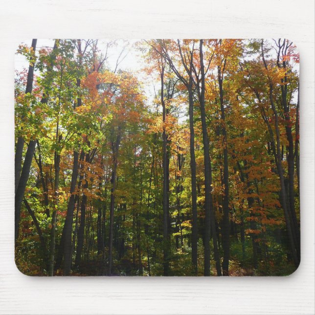 Sunlit Fall Forest Autumn Landscape Mouse Pad (Front)