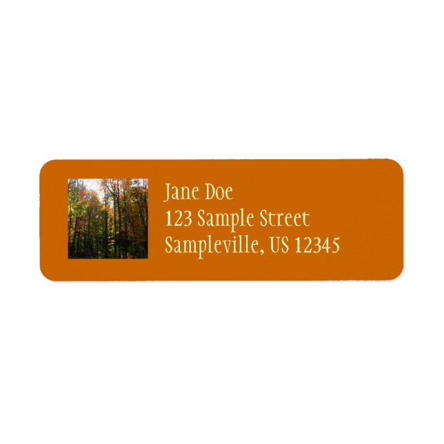 Sunlit Fall Forest Autumn Landscape Return Address Label (Front)