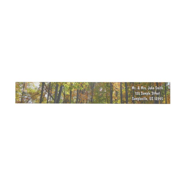 Sunlit Fall Forest Autumn Landscape Wrap Around Label (Individual)