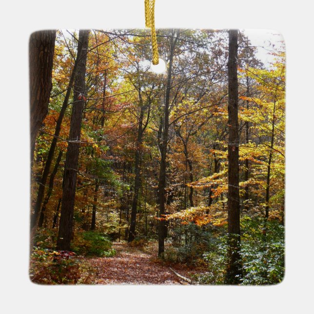 Sunlit Fall Trail in Laurel Hill State Park Ceramic Tree Decoration (Front)