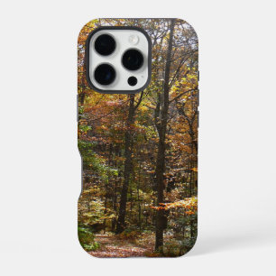 Sunlit Fall Trail in Laurel Hill State Park iPhone Case