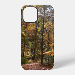 Sunlit Fall Trail in Laurel Hill State Park iPhone 12 Case