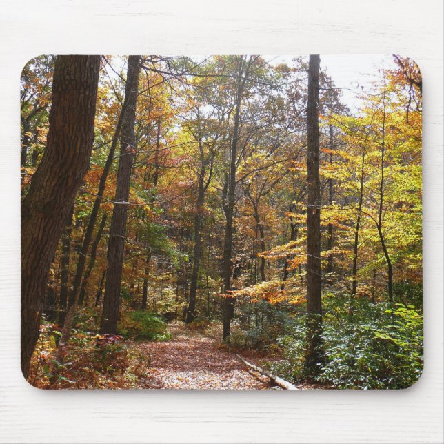 Sunlit Fall Trail in Laurel Hill State Park Mouse Pad (Front)