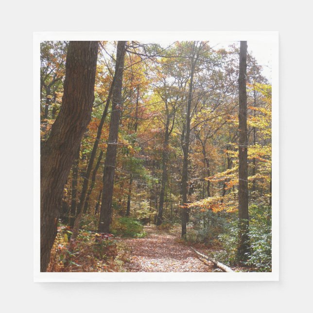 Sunlit Fall Trail in Laurel Hill State Park Napkin (Front)