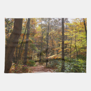 Sunlit Fall Trail in Laurel Hill State Park Tea Towel