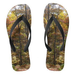 Sunlit Fall Trail in Laurel Hill State Park Thongs
