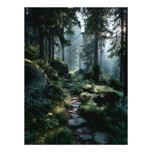 Sunlit Forest Path Through Ancient Pines Photo Print