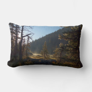 Sunlit Frosted Pine Trees at Dream Lake Lumbar Cushion